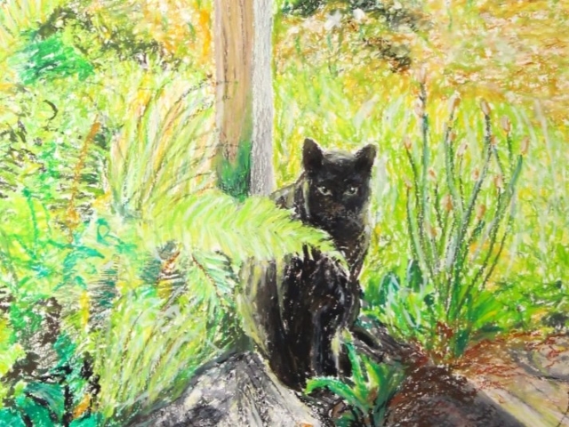 Among The Ferns
