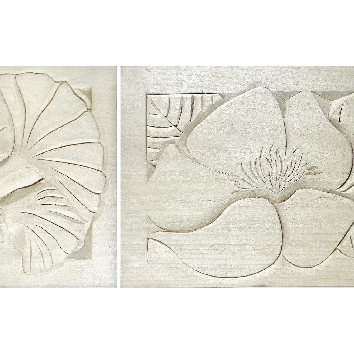 Plants in 2 Dimensions