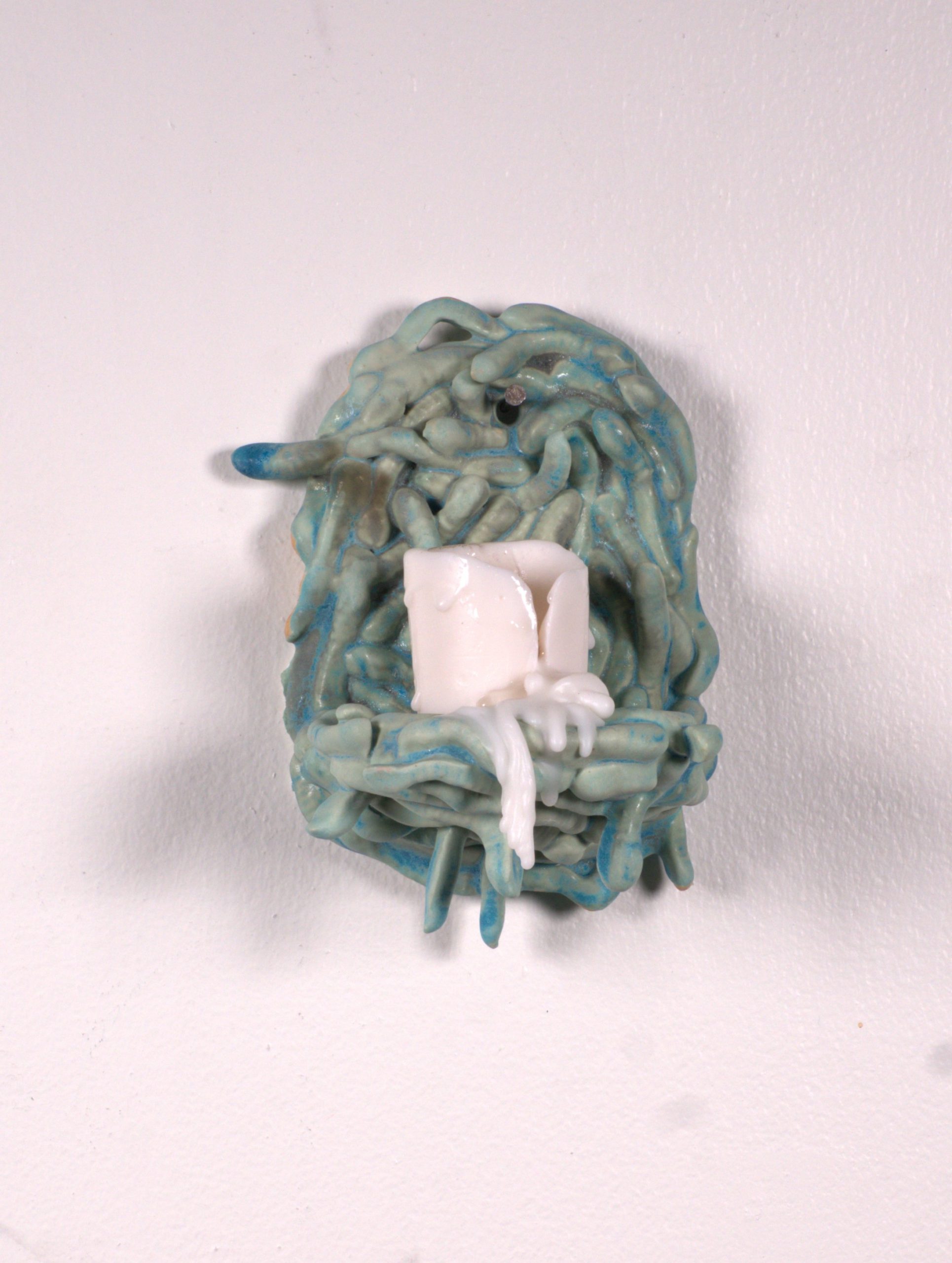 Glow Worms