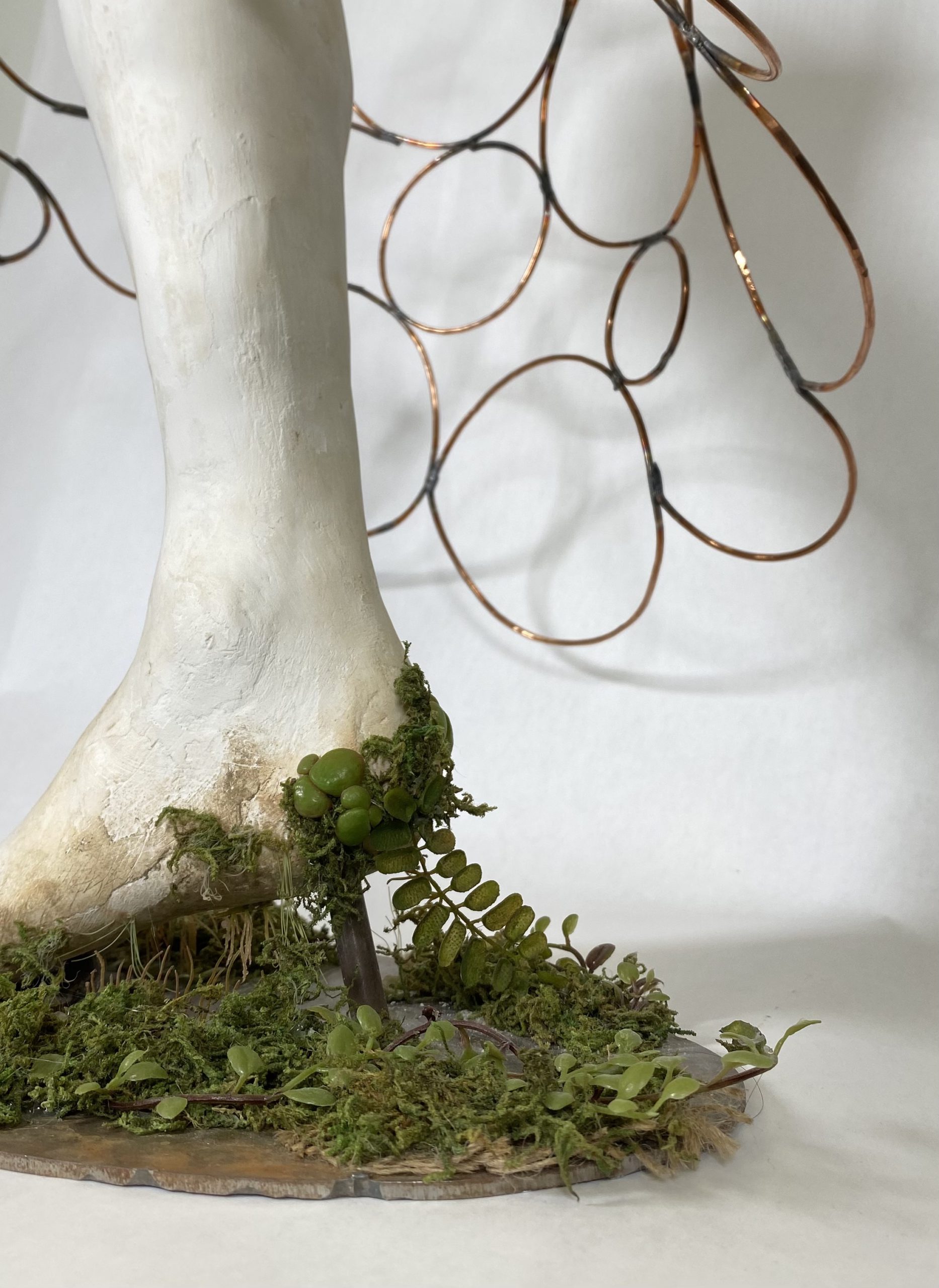 Roots: Return to Mother