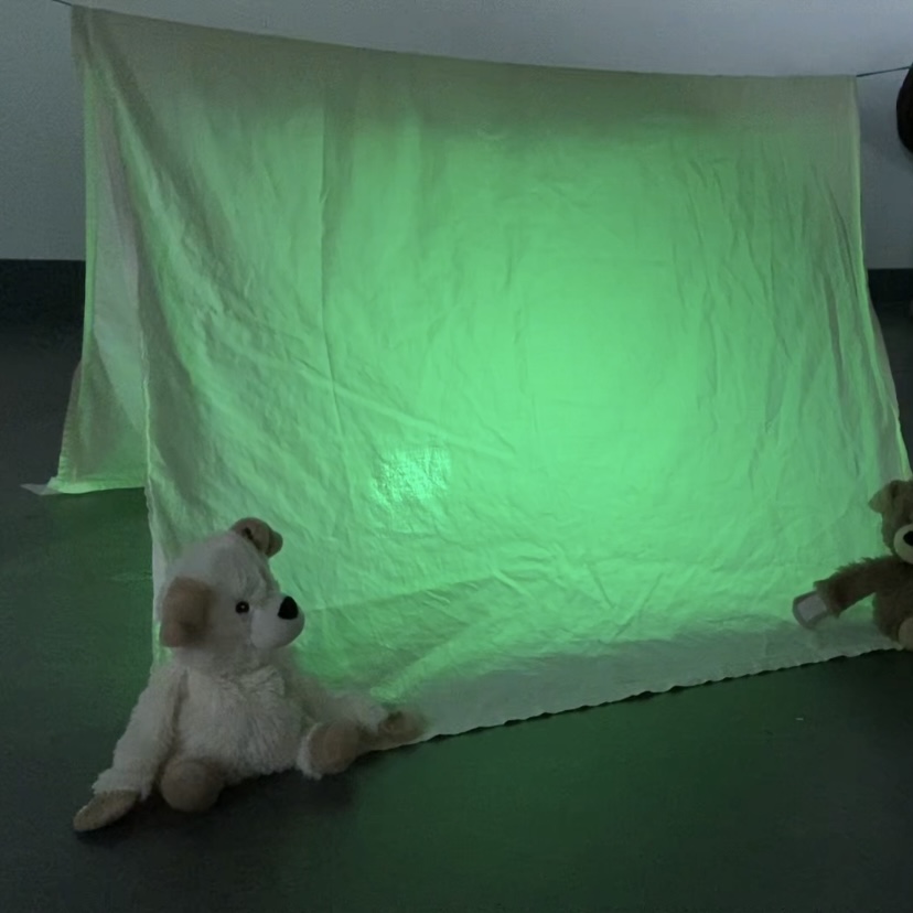 Blanket Fort