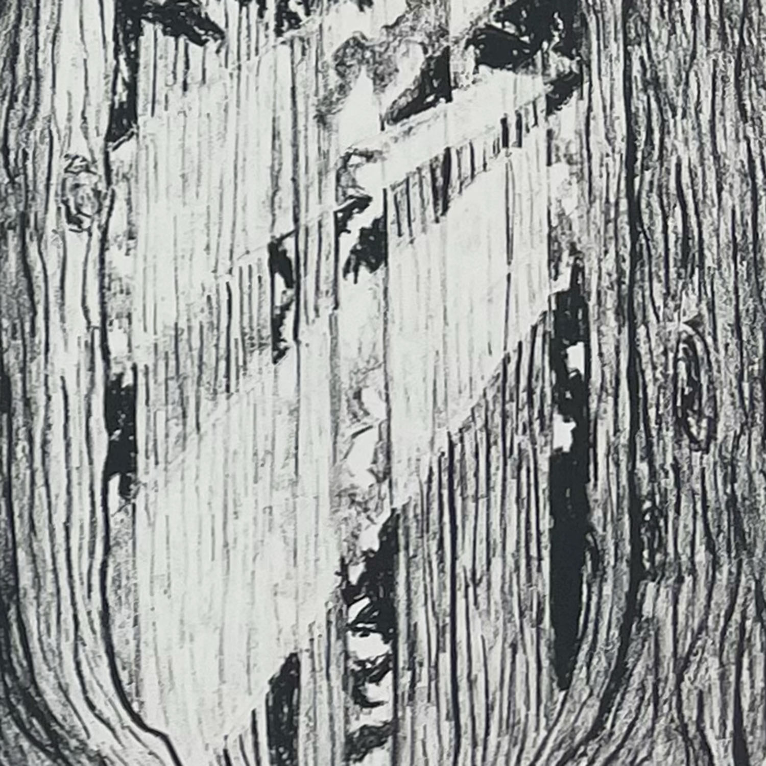 Inside A Forest 